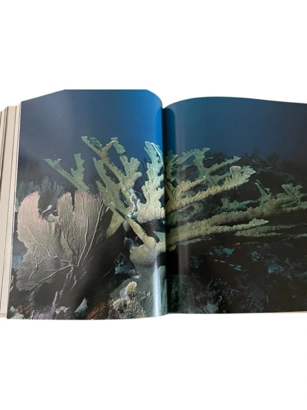 Jacques Cousteau:  The Ocean World Abradale Press/Harry N. Abrams, Vintage 1985